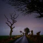 Libya Jet Crash Kills Army Chief in Turkey