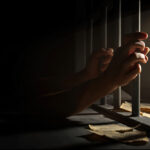 Hershey Teddy Toss Record: 81,796 Stuffed Toys Rain Down at Hockey Game