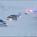 Frowning Horse Plush Goes Viral Ahead of Lunar New Year