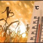 Delhi Custody Dispute: Indian Court Denies Bail to Student Activists After Years in Jail