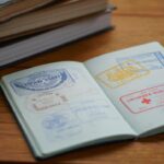 TCL to Take Control of Sony’s TV and Audio Business