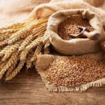 Aerial_Knight’s DropShot, FPS Racer Launching February 17