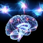 Scientists Rule Out Elusive Particle, Solving Part of a 30-Year Physics Mystery