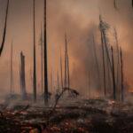 UBL Hits Rs1.28tr Valuation Mark, Overtakes OGDC as Pakistan’s Largest Listed Company