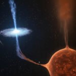 Saudi and Kuwaiti Authorities Issue Urgent Alert on Nestlé Infant Formula