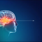 New Study: Soil Nitrogen Doubles Tropical Forest Recovery Speed