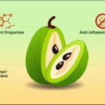 Health Official Arrested for Illegal Medicine Transport in Quetta