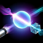 Scientists Discover Hidden Underwater Language of Hawaiian Monk Seals