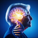 Dark Souls 2 Fan-Led Revival Event Announced for February