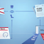 Brazil Reports Alarming Surge in Dengue and Chikungunya, Warns Public