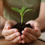 Social Connection is Medicine: Why Fighting Loneliness is Vital for Health