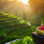 Oman’s Al Wusta Governorate Emerges as Key Winter Tourism Destination