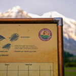 Major Review: Eating Earlier in the Day is Most Effective for Metabolic Health