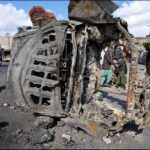 Gene Twist Sparked Backbone Evolution, Study Reveals