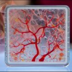 Sitara Petroleum IPO Pakistan: Rs. 3.2 Billion Listing Plan