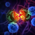 Federal Minister Inaugurates New Facilitation Centre at Rawalpindi’s Benazir Bhutto Hospital