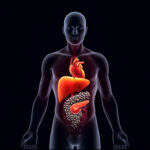 Ultramarathons Damage Red Blood Cells, Accelerate Aging: Study