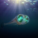 Dense Fog Forces Closure of Lahore-Sialkot Motorway