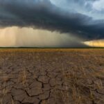 Blue Light and Iron Catalyst Could Make Drug Production Cheaper | Nagoya University Research