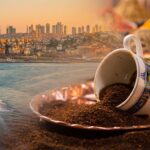 Free Creature Collector Aniimo Announced for 2026