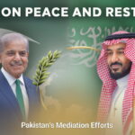 Sindh smart lockdown plan amid fuel crisis concerns