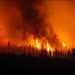 Popular Fruits and Vegetables Linked to Higher Pesticide Levels