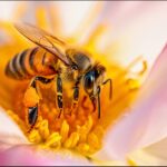 24 New Deep-Sea Species Discovered—Including a Rare New Branch of Life