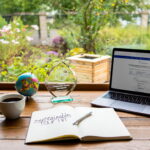 Cockroach Allergy Study: Shared Proteins May Cause Reactions to Mites and Seafood