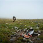 UK Says Falklands Sovereignty Rests with Britain After US Report