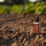 Samsung Next Phone Display Upgrade Brings Native 10-Bit Colors