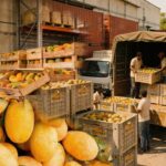 BP Oil Trading Profits Surge Amid Iran Conflict Shock