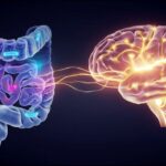 Middle East AI Risk: War Threatens Gulf Tech Dreams