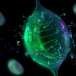 Scientists Solve Mystery of Bacterial Sodium Pump