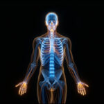 Lost Greek Philosopher Verses Found After 2,000 Years