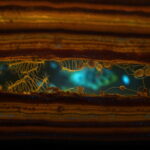 Physicists Capture Quantum Interference in a Rare Positronium Atom