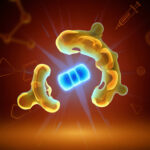 AI Melanoma Risk: Study Flags High-Risk Groups Early