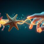 Japan Warns of Higher Risk of Huge Earthquake After 7.7 Magnitude Quake