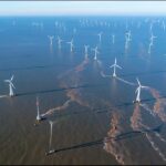 Immune System Aging Differs Dramatically Between Men and Women