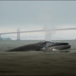 Pakistan Skills Gap Widens as Graduates Struggle to Find Jobs