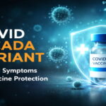 Crimea Plane Crash Tragedy: Military Flight Down, 29 Killed