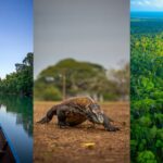 Dark Visual Novel Decollate Decoration Launches April 17 on Consoles