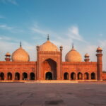 New Beetle Species Found Right Outside University Lab