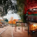 Japan Airlines Upgrades Fleet and Services for 2026