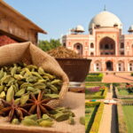 New Safari Rules: No Phones, No Selfies, No Geotagging