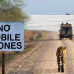 Smartphone Memory Crisis May Force Brands to Cut Camera Sensors