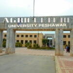 PEIRA Crackdown on Schools in Islamabad Over Fee Violations