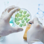 Weight-Loss Drugs Cut Heart Attack and Stroke Risk
