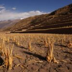 Ancient DNA Farming Study Reveals Climate Crisis in Andes Civilization