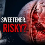 Chronic Stress Brain: How Stress Shrinks Memory and Recovery Steps