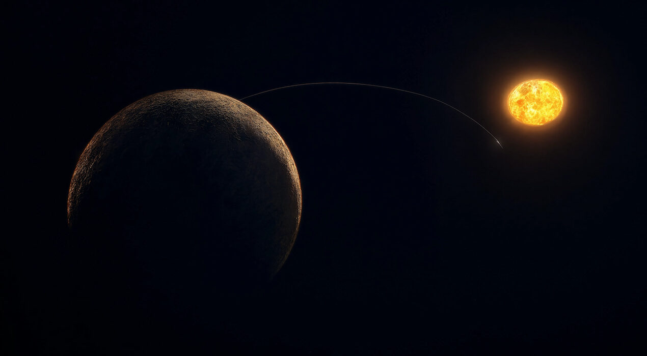 H00806